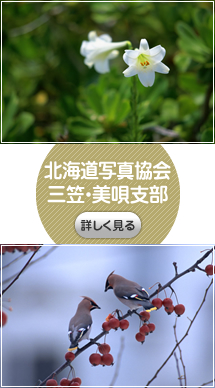 北海道写真協会三笠・美唄支部